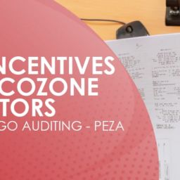 PEZA Tax Incentives